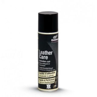 ENTRETIEN CUIR AEROSOL 250ML